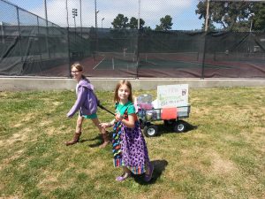 roving lemonade stand